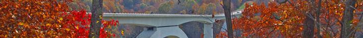 fallfoliage4.jpg