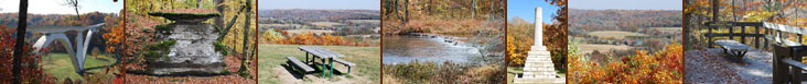 fallfoliage.jpg