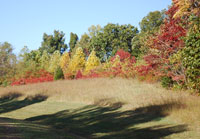 Pix 4 - Milepost 434