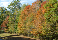 Pix 1 - Milepost 439
