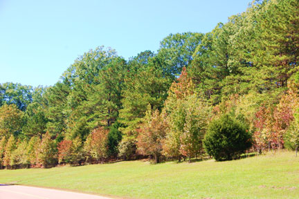 Milepost 15