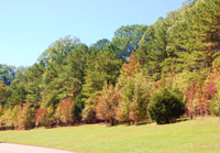 Milepost 15