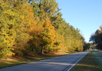Pix 4 - Milepost 339