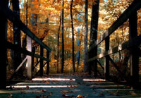 Pix 10 - Myrick Creek