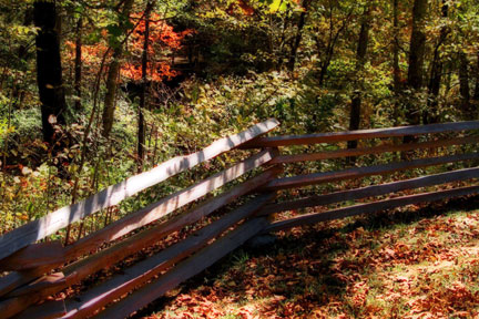 Pix 3 - Fall Hollow