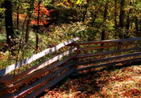 Pix 4 - Fall Hollow