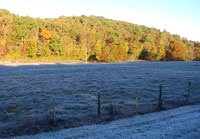 Pix 2 - Milepost 349