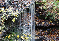 Pix 6 - Fall Hollow