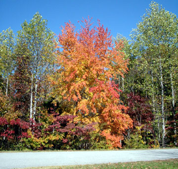 Pix 1 - Milepost 435