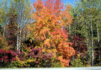Pix 1 - Milepost 435