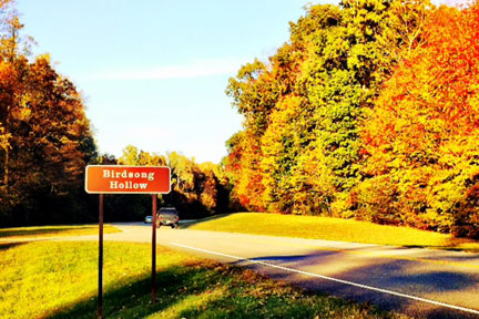 Pix 1 - Birdsong Hollow