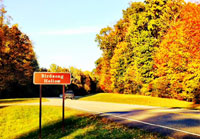 Pix 1 - Birdsong Hollow