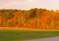 Pix 2 - Buffalo River