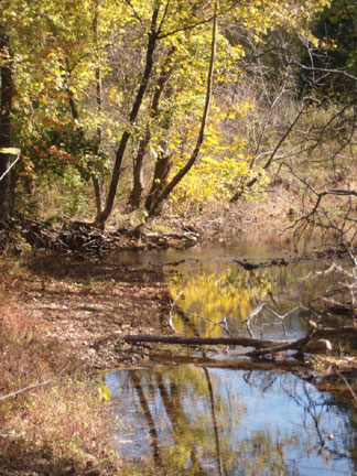 Pix 3 - Garrison Creek