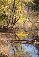 Pix 3 - Garrison Creek