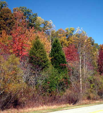 Pix 4 - Milepost 428