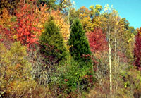 Pix 4 - Milepost 428