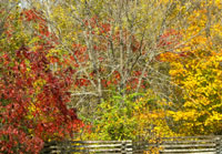 Pix 2 - Milepost 437