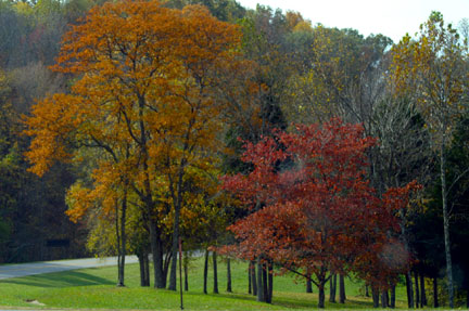 Pix 2 - Leipers Fork Exit