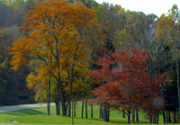 Pix 2 - Leipers Fork Exit