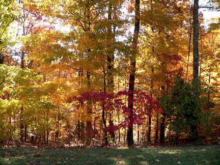Pix 5 - Milepost 442
