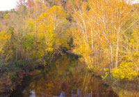 Pix 6 - Big Swan Creek