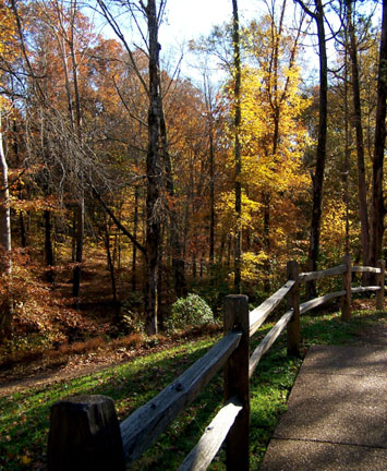Pix 5 - Glenrock Branch