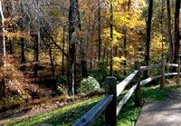 Pix 5 - Glenrock Branch