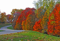 Pix 2 - Milepost 440