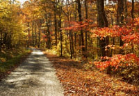 Pix 4 - Old Trace Drive