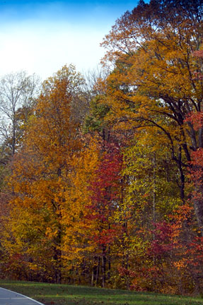 Pix 5 - Milepost 442