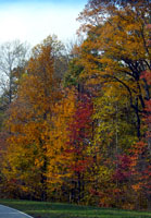 Pix 5 - Milepost 442