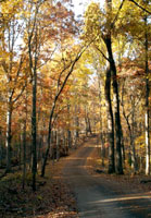 Pix 2 - Old Trace Drive 1