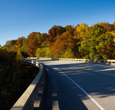 Pix 7 - Treetop Bridge
