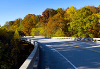 Pix 7 - Treetop Bridge