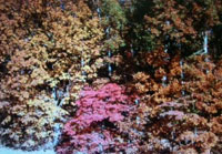 Pix 4 - Milepost 318