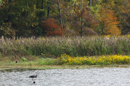 Pix 2 - River Bend