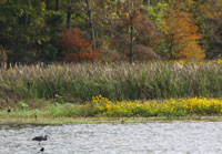 Pix 2 - River Bend