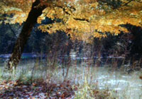 Pix 2 - Bear Creek