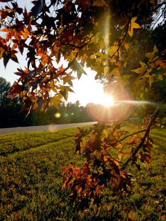 Pix 5 - Milepost 105