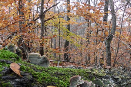 Pix 1 - Milepost 435