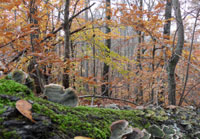 Pix 1 - Milepost 435