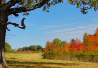 Pix 8 - Milepost 90