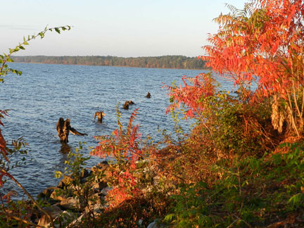 Pix 8 - Ross Barnett Reservoir