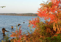 Pix 8 - Ross Barnett Reservoir