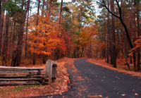 Pix 5 - Jeff Busby Park