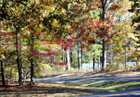 Pix 4 - Meriwether Lewis