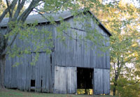 Pix 1 - Tobacco Barn