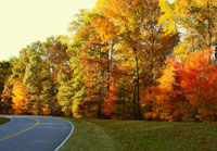 Pix 2 - Milepost 435