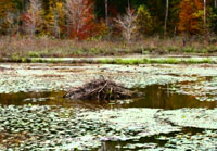 Pix 4 - Tennessee-Tombigbee Waterway